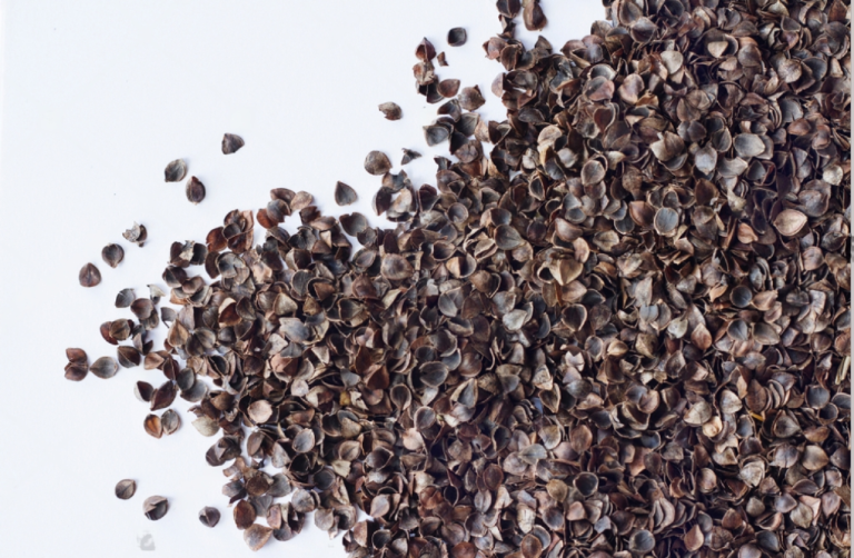 Organic Buckwheat Husk Free UK Delivery